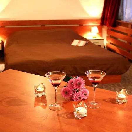Hotel Of Bulgarian Academy Of Sciences Sofie